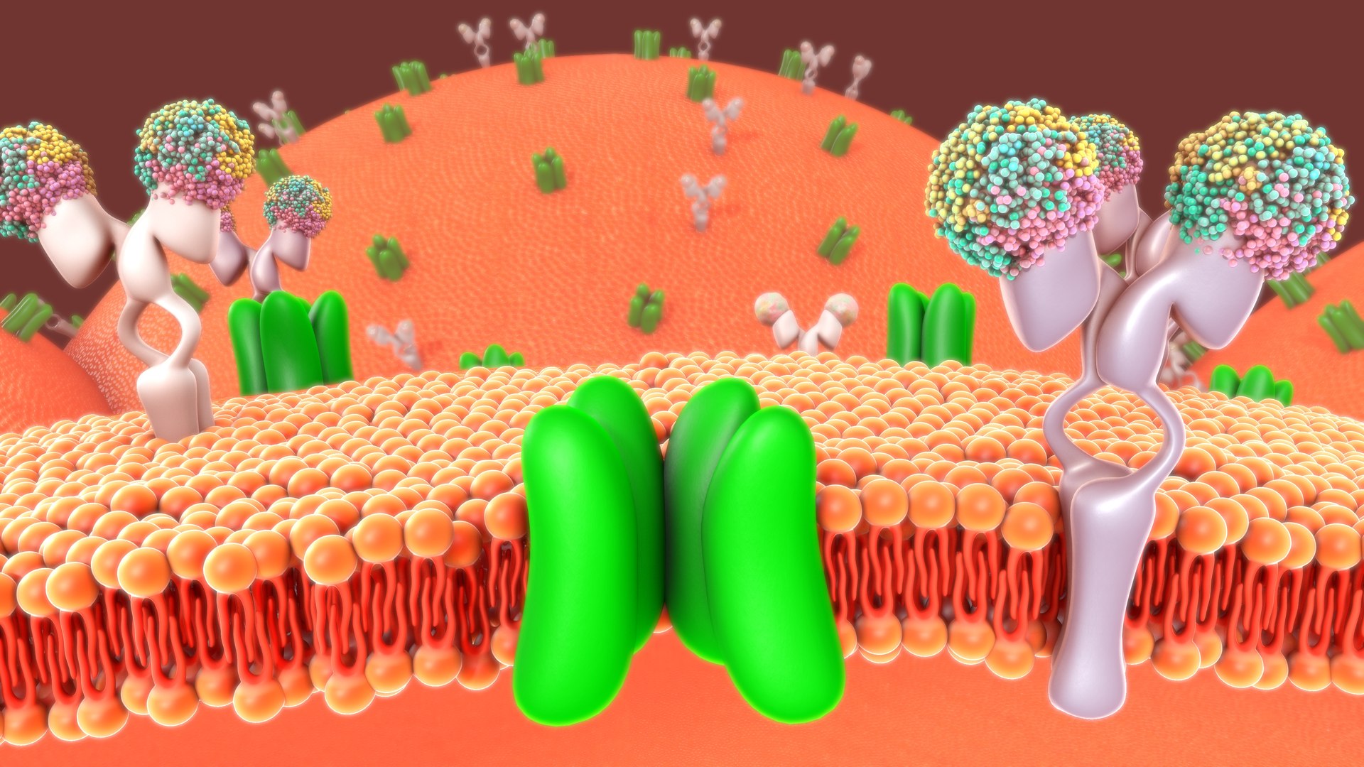 3D Cell Membrane - TurboSquid 1871321