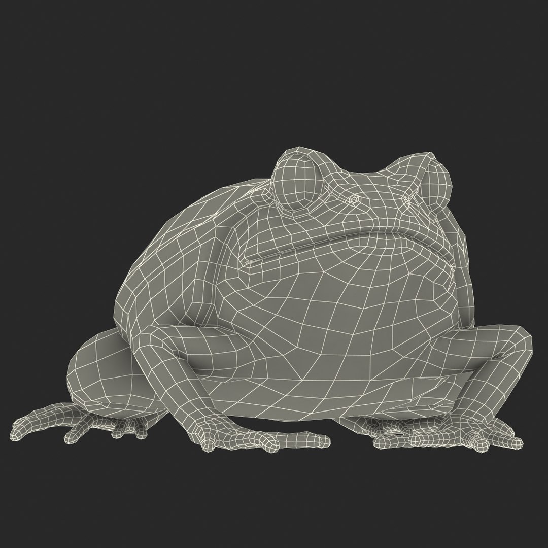 3d tomato frog pose 2 model https://p.turbosquid.com/ts-thumb/IA/XmEHVE/3UzhD9W6/tomatofrog3dsmodel23/jpg/1453732291/1920x1080/fit_q87/0bd0665a3c25d8501b2f8e42acd12c793a8f9e6d/tomatofrog3dsmodel23.jpg