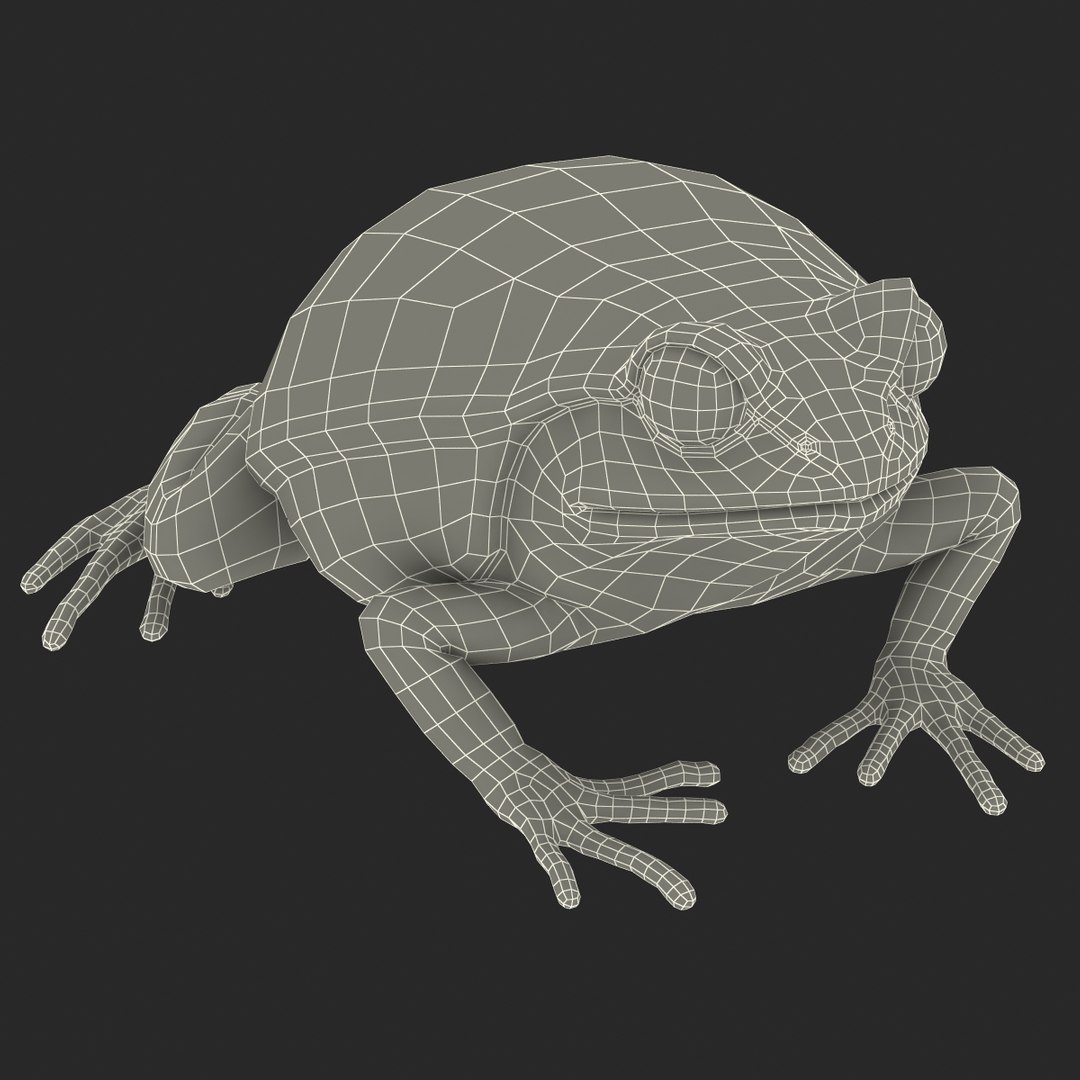 3d tomato frog pose 2 model https://p.turbosquid.com/ts-thumb/IA/XmEHVE/6mrMeiZo/tomatofrog3dsmodel25/jpg/1453732291/1920x1080/fit_q87/114deb0f28e04eea9b8aed00913de5fc46009ad0/tomatofrog3dsmodel25.jpg