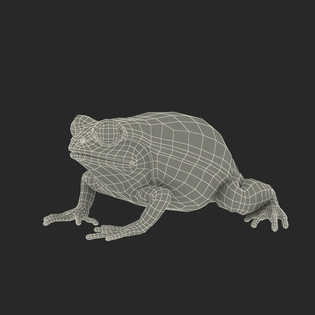3d tomato frog pose 2 model https://p.turbosquid.com/ts-thumb/IA/XmEHVE/ImFoBM2S/tomatofrog3dsmodel22/jpg/1453732291/1920x1080/fit_q87/a4ea37ee00ec37c223122196e544638c6c7adbd9/tomatofrog3dsmodel22.jpg