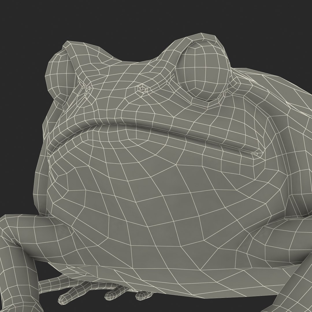 3d tomato frog pose 2 model https://p.turbosquid.com/ts-thumb/IA/XmEHVE/L8cUApou/tomatofrog3dsmodel29/jpg/1453732292/1920x1080/fit_q87/abbedb9838ce280d3c77c6bb05e37413114ae2a9/tomatofrog3dsmodel29.jpg