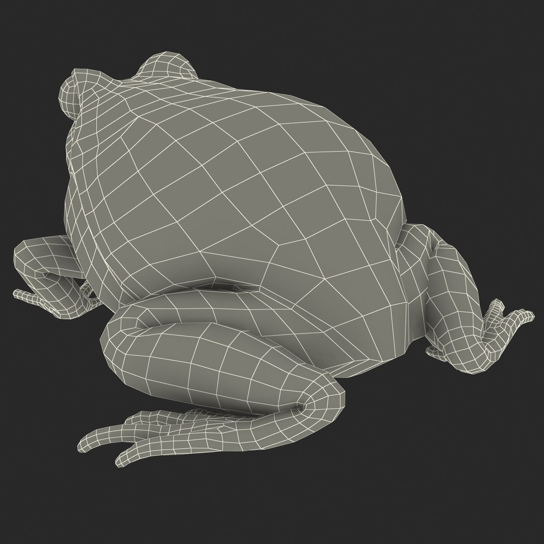 3d tomato frog pose 2 model https://p.turbosquid.com/ts-thumb/IA/XmEHVE/U3sHPPTZ/tomatofrog3dsmodel26/jpg/1453732292/1920x1080/fit_q87/57833dcc5f8854d1f972b03608b1d64fbdf06aa8/tomatofrog3dsmodel26.jpg