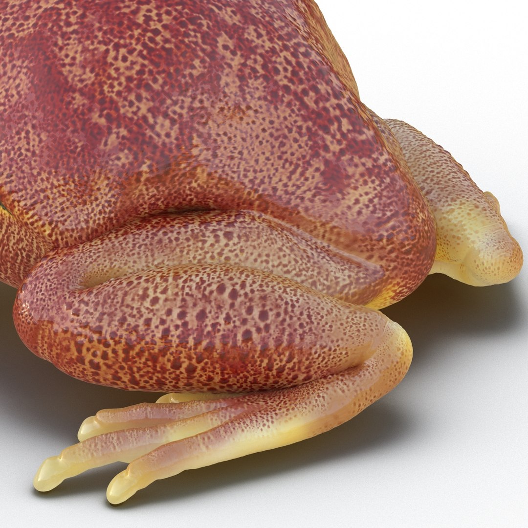 3d tomato frog pose 2 model https://p.turbosquid.com/ts-thumb/IA/XmEHVE/WiiC76dm/tomatofrog3dsmodel16/jpg/1453732290/1920x1080/fit_q87/2c5c6bd93ca78b48fd9f2736b508d25f944c6ba4/tomatofrog3dsmodel16.jpg