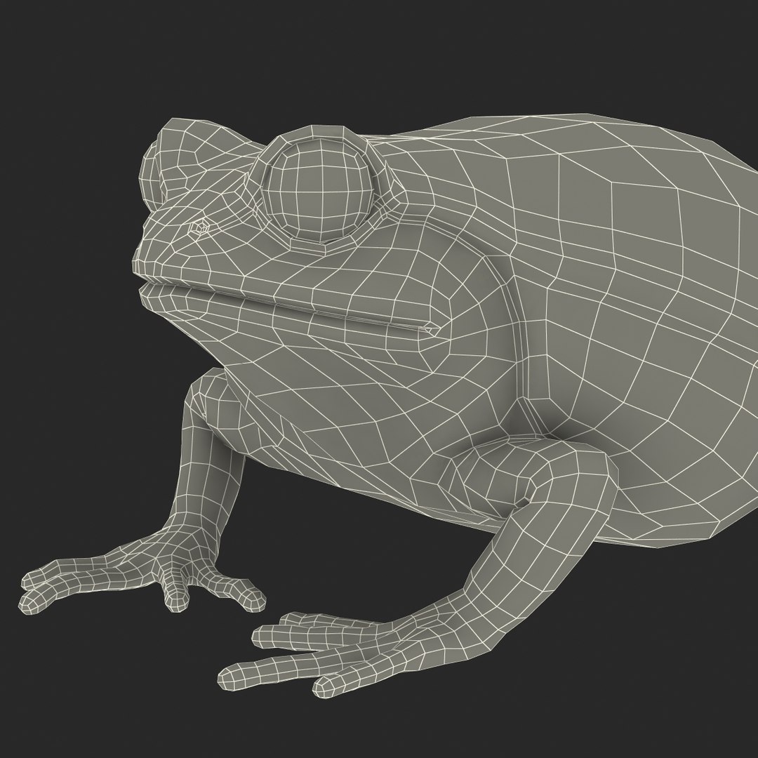 3d tomato frog pose 2 model https://p.turbosquid.com/ts-thumb/IA/XmEHVE/XDVw9Nr6/tomatofrog3dsmodel28/jpg/1453732292/1920x1080/fit_q87/40b779bff63c358d638654340be57b450f5e4000/tomatofrog3dsmodel28.jpg