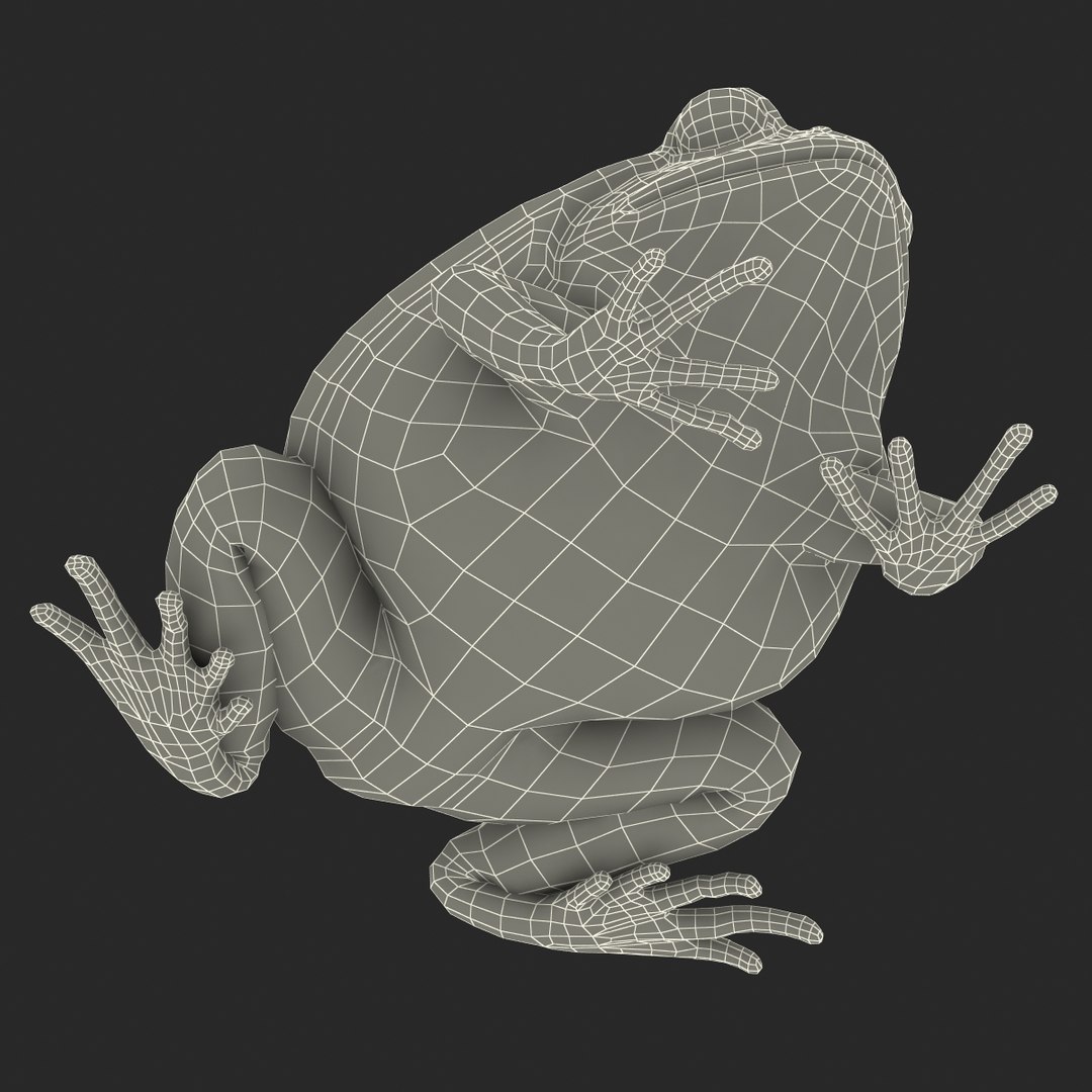 3d tomato frog pose 2 model https://p.turbosquid.com/ts-thumb/IA/XmEHVE/d50XI9cB/tomatofrog3dsmodel27/jpg/1453732292/1920x1080/fit_q87/b17f05b00a46d9ff0528e0a6ff795fdf30e3fc6c/tomatofrog3dsmodel27.jpg