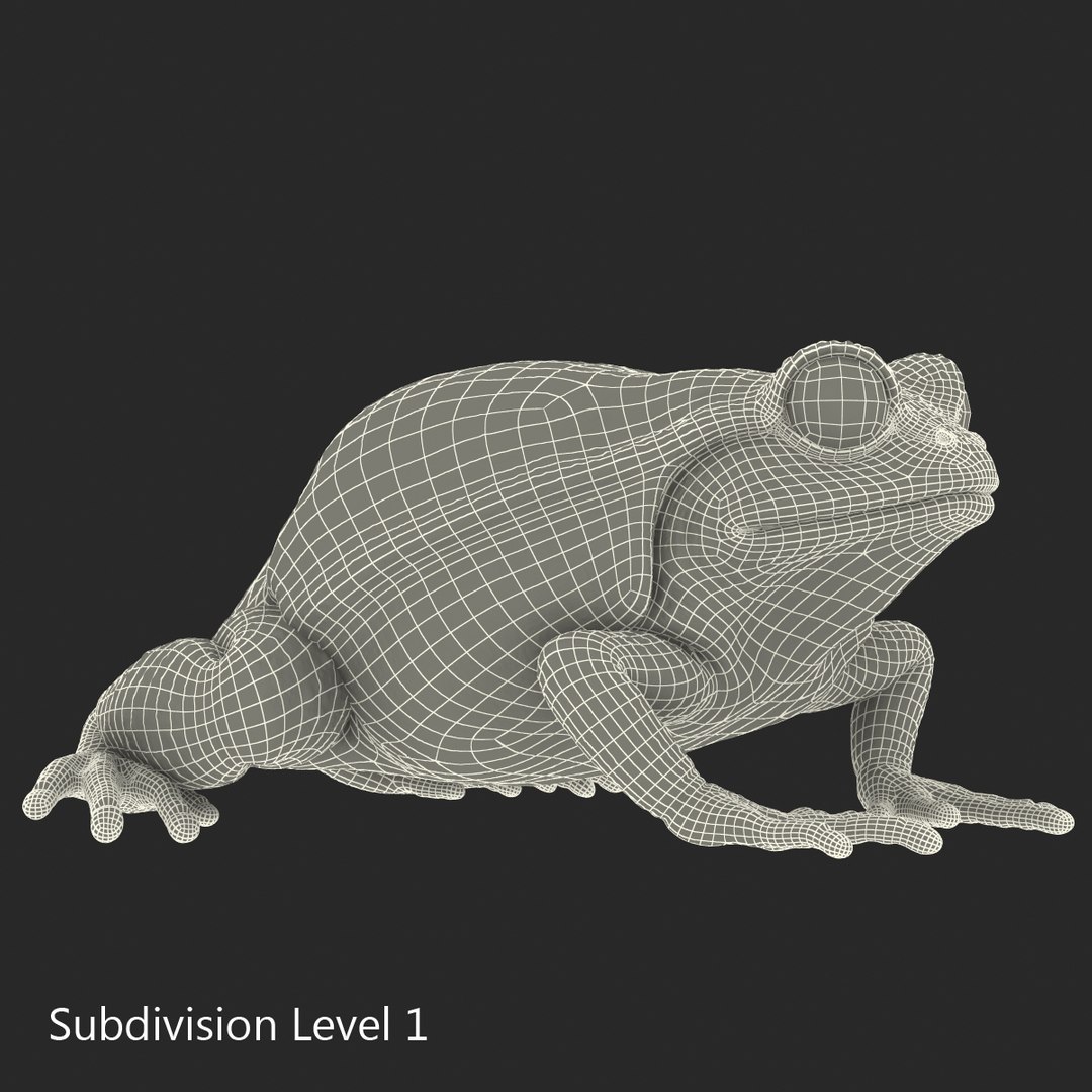 3d tomato frog pose 2 model https://p.turbosquid.com/ts-thumb/IA/XmEHVE/geUQgOFS/tomatofrog3dsmodel18/jpg/1453732290/1920x1080/fit_q87/8fba925cb10806d3b309b64b49d47d392cb6eec0/tomatofrog3dsmodel18.jpg