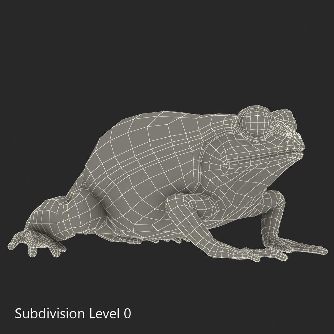 3d tomato frog pose 2 model https://p.turbosquid.com/ts-thumb/IA/XmEHVE/np9ekBKK/tomatofrog3dsmodel17/jpg/1453732290/1920x1080/fit_q87/754fe3f06ec8532d47925a74e9422563caa84198/tomatofrog3dsmodel17.jpg