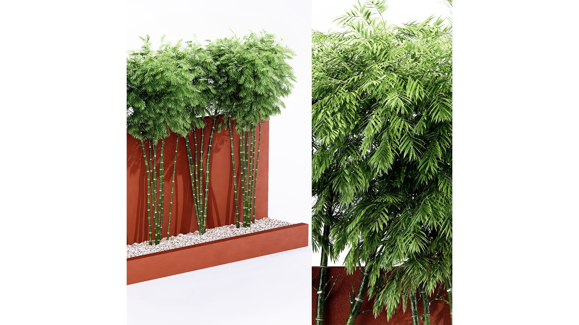 Backyard Landscaping - Bamboo Wall-vray max 3D model https://p.turbosquid.com/ts-thumb/IA/Z3ja4B/79/z03/png/1718534980/1920x1080/fit_q87/4e938dc83e54130842a6059263e6871c9ab68778/z03.jpg