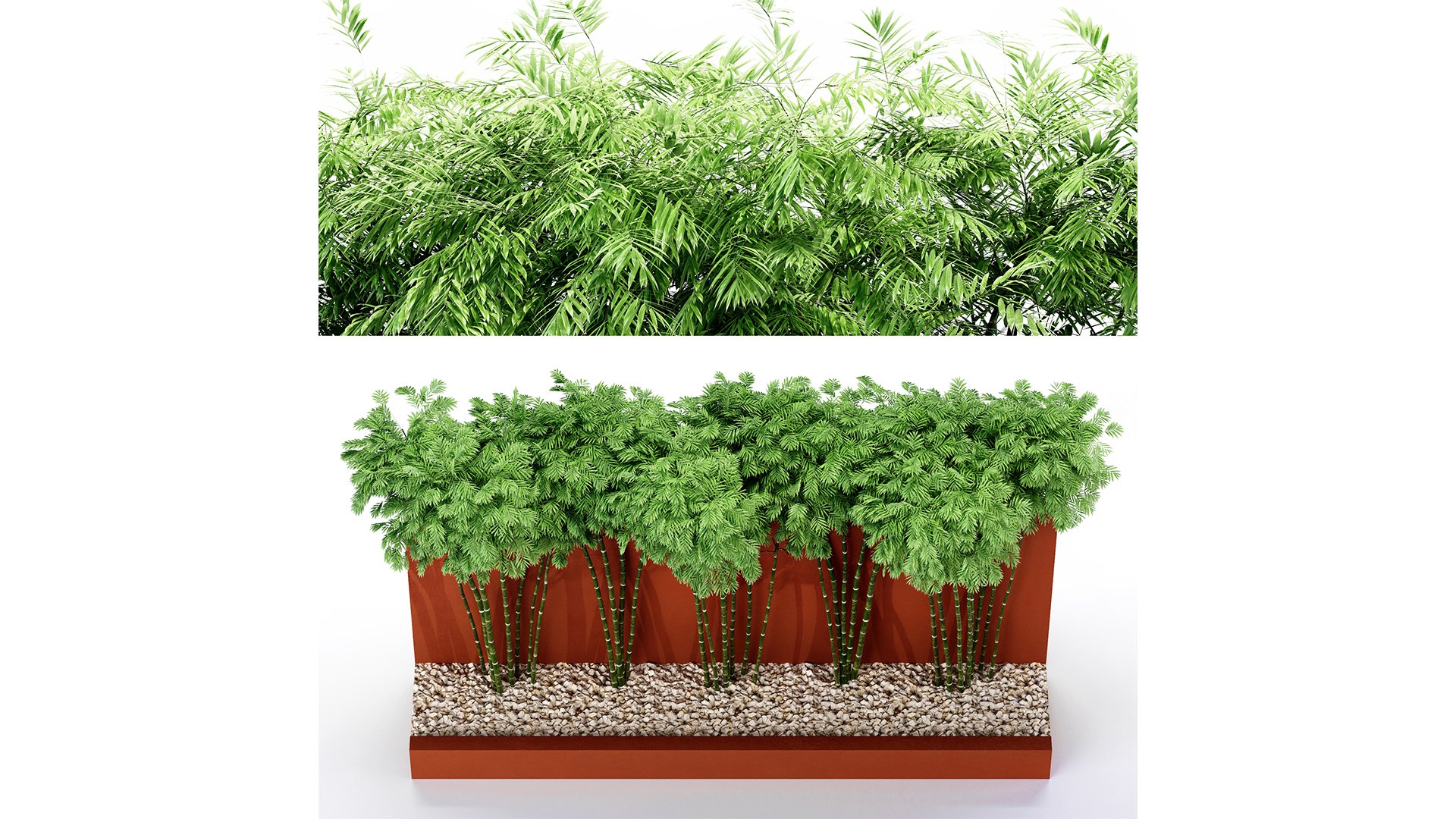 Backyard Landscaping - Bamboo Wall-vray max 3D model https://p.turbosquid.com/ts-thumb/IA/Z3ja4B/rP/z04/png/1718534984/1920x1080/fit_q87/2b623a12b272b545cb944e45e00d17e5eab3803c/z04.jpg