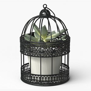 Cage with Succulent Plant Black 3D