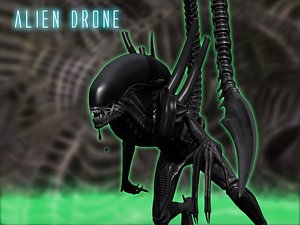 3d rigged xenomorph drone aliens model
