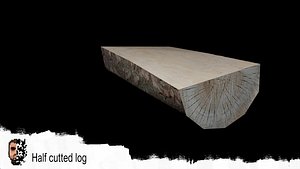 Half cutted log
