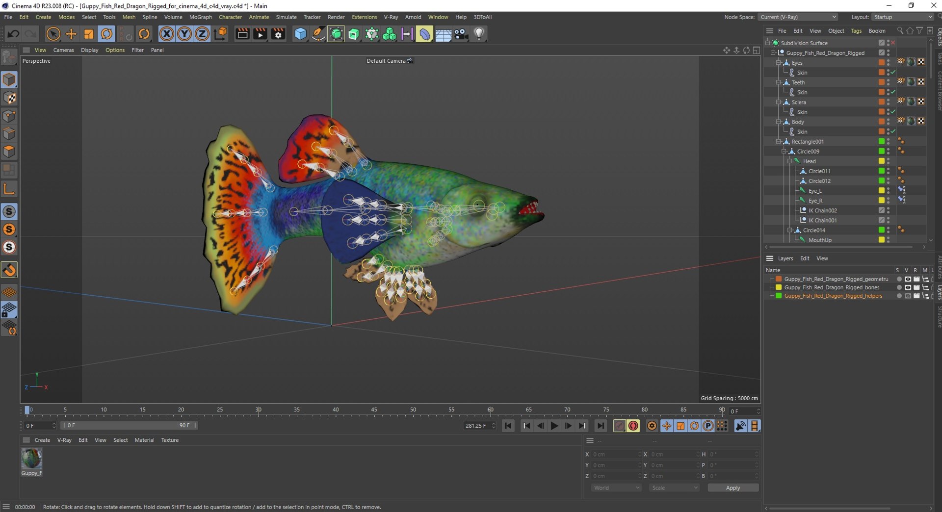 3D Guppy Fish Red Dragon Rigged for Cinema 4D model https://p.turbosquid.com/ts-thumb/IB/9mzV0e/4X/guppyfishreddragonriggedforcinema4dc4dmodel038/jpg/1725571858/1920x1080/fit_q87/0a3f257d29055d5bc0b6d9e7cb953f8acead5507/guppyfishreddragonriggedforcinema4dc4dmodel038.jpg