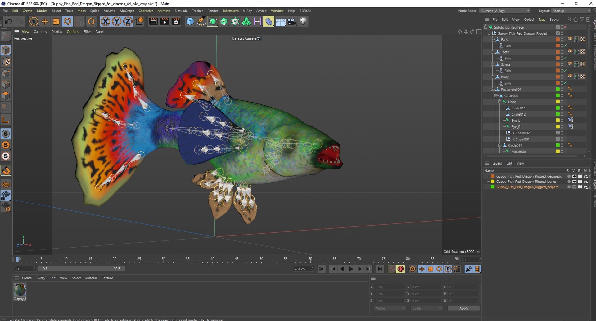 3D Guppy Fish Red Dragon Rigged for Cinema 4D model https://p.turbosquid.com/ts-thumb/IB/9mzV0e/FX/guppyfishreddragonriggedforcinema4dc4dmodel041/jpg/1725571870/1920x1080/fit_q87/1ded3af2709302769a2d4dd17070a61fd6a9b6be/guppyfishreddragonriggedforcinema4dc4dmodel041.jpg