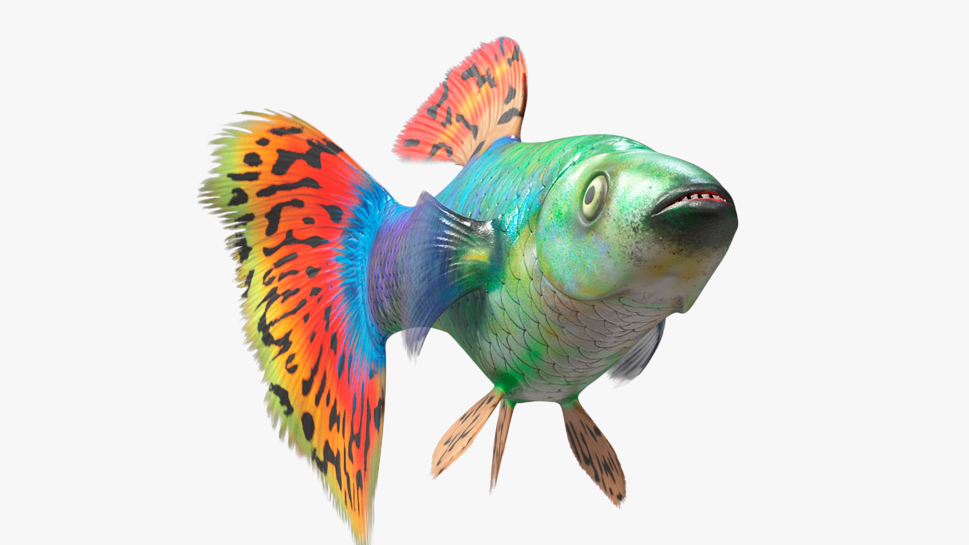 3D Guppy Fish Red Dragon Rigged for Cinema 4D model https://p.turbosquid.com/ts-thumb/IB/9mzV0e/qt/guppyfishreddragonriggedforcinema4dc4dmodel016/jpg/1725571779/1920x1080/fit_q87/9309bf7dd83595532ef5de358b576c9f13b68dcd/guppyfishreddragonriggedforcinema4dc4dmodel016.jpg
