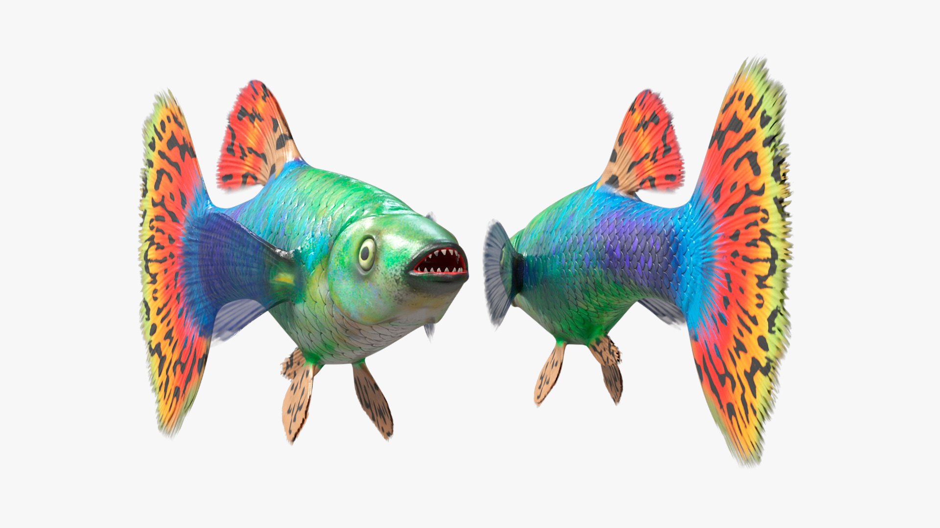 3D Guppy Fish Red Dragon Rigged for Cinema 4D model https://p.turbosquid.com/ts-thumb/IB/9mzV0e/sR/guppyfishreddragonriggedforcinema4dc4dmodel014/jpg/1725571773/1920x1080/fit_q87/a438ec5e9b2486df65dc82ec49ce5251c63b74b4/guppyfishreddragonriggedforcinema4dc4dmodel014.jpg