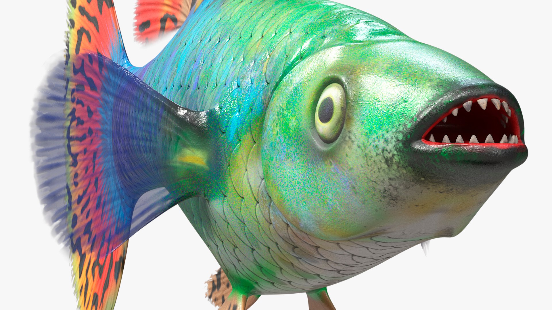 3D Guppy Fish Red Dragon Rigged for Cinema 4D model https://p.turbosquid.com/ts-thumb/IB/9mzV0e/yW/guppyfishreddragonriggedforcinema4dc4dmodel021/jpg/1725571795/1920x1080/fit_q87/fa5cd59bdd746c183496718f3558c68900c0d5c2/guppyfishreddragonriggedforcinema4dc4dmodel021.jpg