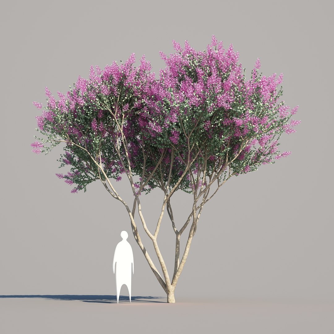 trunk 5 tree flowers max https://p.turbosquid.com/ts-thumb/IB/DwJSSl/2rxnTdxo/crepemyrtle_02/jpg/1473518264/1920x1080/fit_q87/ff4a50feeb9191be85d15b7afbe8610cabc690b1/crepemyrtle_02.jpg