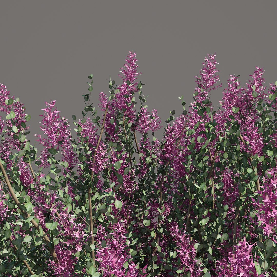 trunk 5 tree flowers max https://p.turbosquid.com/ts-thumb/IB/DwJSSl/TxTjbDhF/crepemyrtle_06/jpg/1473518264/1920x1080/fit_q87/1ff11f124d90f2e6a0a5e06aae5bfaedd19de29b/crepemyrtle_06.jpg