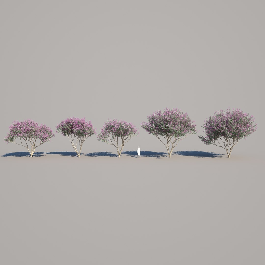 trunk 5 tree flowers max https://p.turbosquid.com/ts-thumb/IB/DwJSSl/U9r9trek/crepemyrtle_08/jpg/1473518264/1920x1080/fit_q87/f05123d93a50f95fe799b3642e9b9804c2d4befa/crepemyrtle_08.jpg