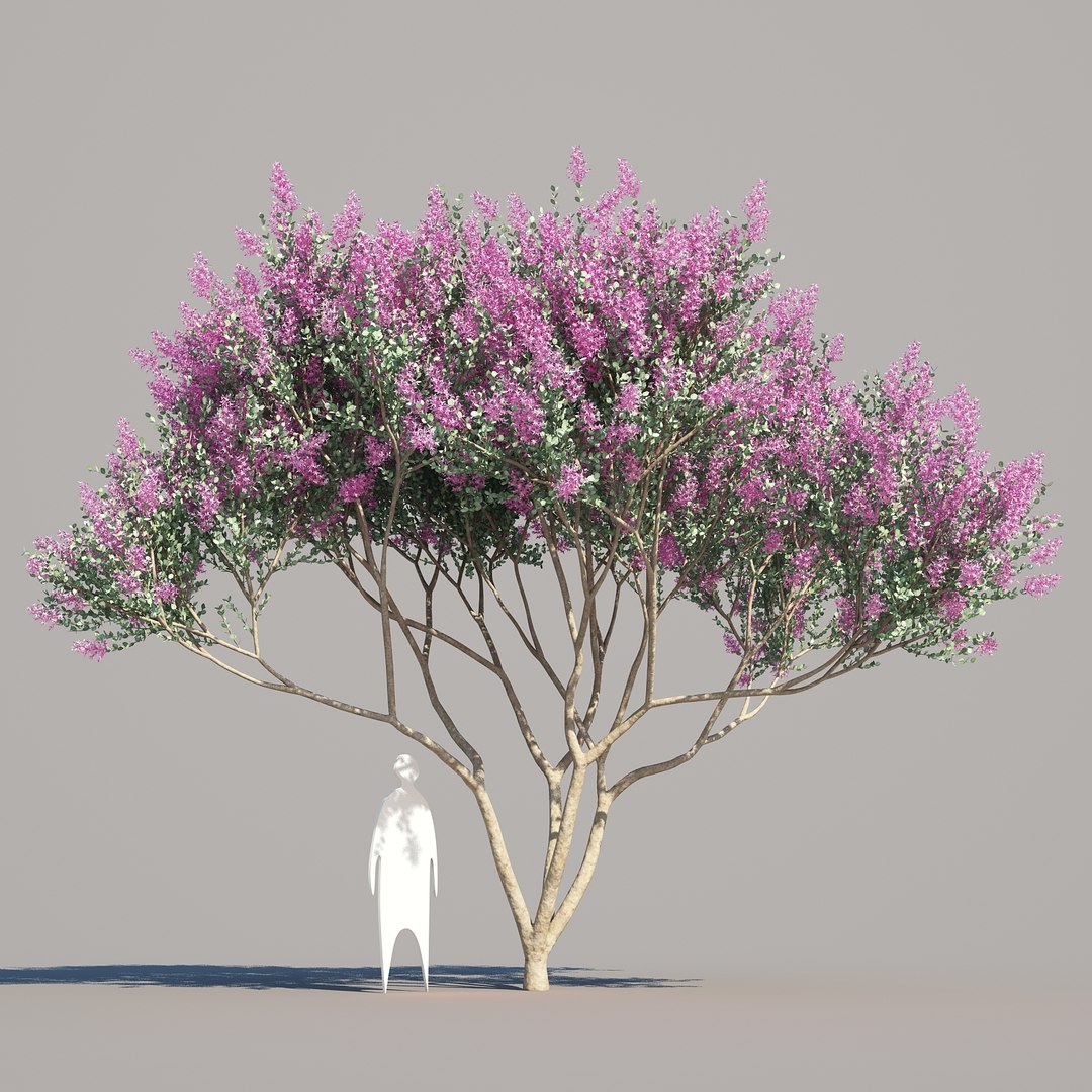 trunk 5 tree flowers max https://p.turbosquid.com/ts-thumb/IB/DwJSSl/jlyKLAwm/crepemyrtle_01/jpg/1473518264/1920x1080/fit_q87/40fe99c707e71bfca169e471b3a09918a5061507/crepemyrtle_01.jpg