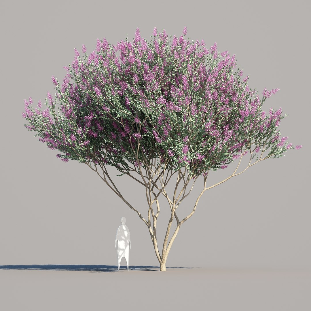 trunk 5 tree flowers max https://p.turbosquid.com/ts-thumb/IB/DwJSSl/odynqsFV/crepemyrtle_04/jpg/1473518264/1920x1080/fit_q87/7a3ae47c69629cc5a771665967999761336caf96/crepemyrtle_04.jpg