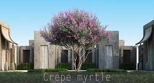 5 Crepe myrtle