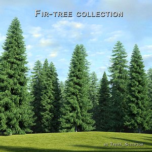 Fir-tree collection