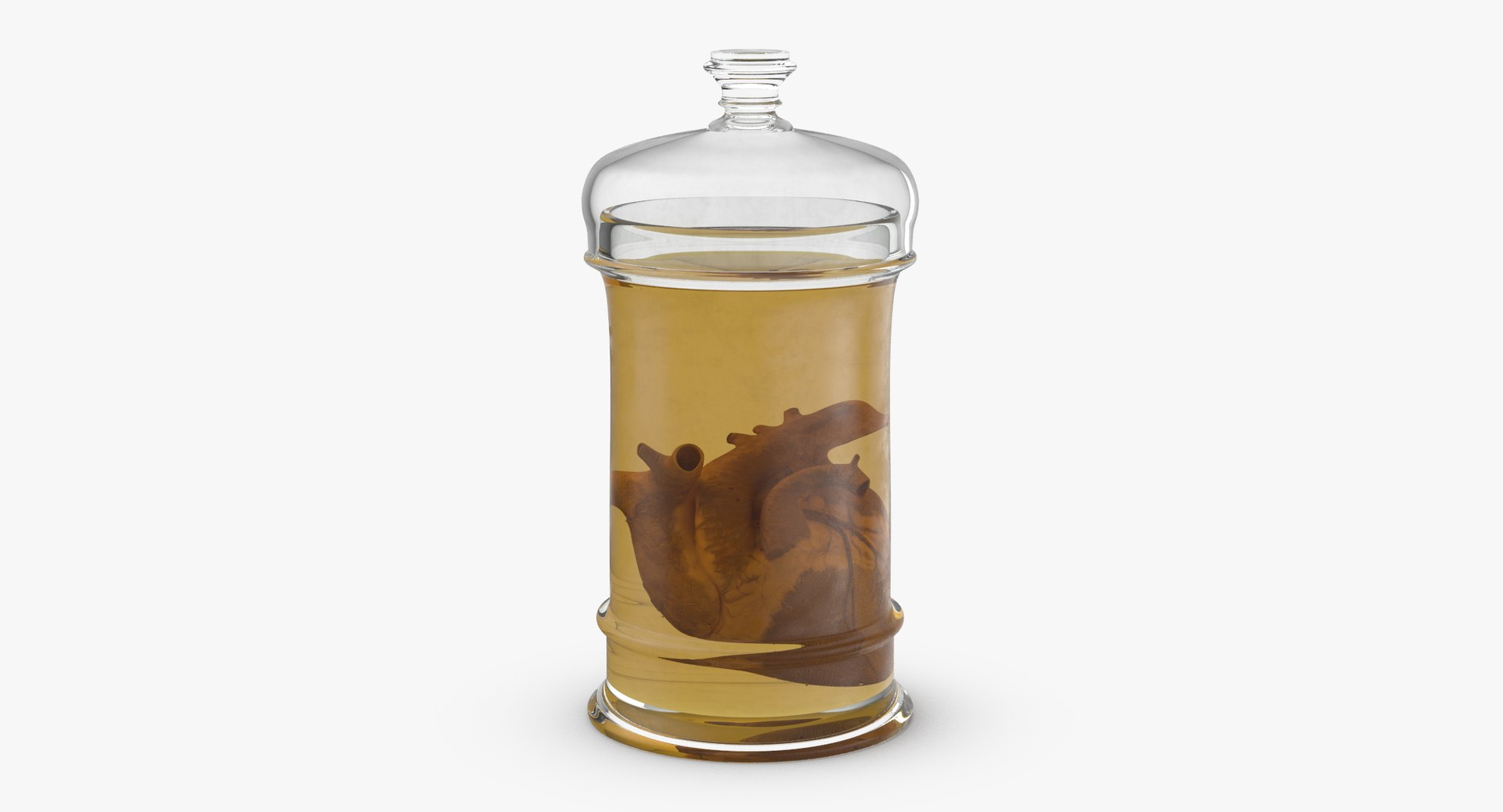 3d vintage jars - organ model https://p.turbosquid.com/ts-thumb/IB/KZ0ewD/0ALJnzzq/vintage_organ_jar_heart_thumbnail_0001/jpg/1481710574/1920x1080/fit_q87/e00316ac20ec019d5d14b22fa0be74ca61de4ee8/vintage_organ_jar_heart_thumbnail_0001.jpg