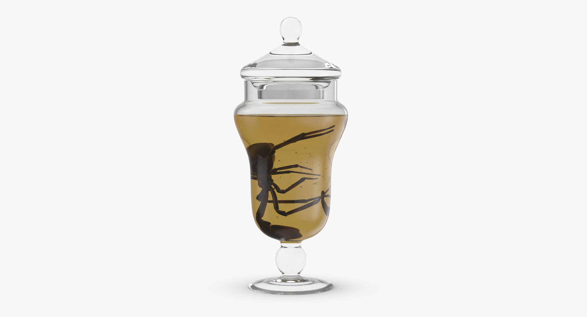 3d vintage jars - organ model https://p.turbosquid.com/ts-thumb/IB/KZ0ewD/0qeKLlX8/vintage_specimen_jar_spider_thumbnail_0002/jpg/1481703356/1920x1080/fit_q87/ad313be6d16d3e29150831cff10f5b8a9626e387/vintage_specimen_jar_spider_thumbnail_0002.jpg
