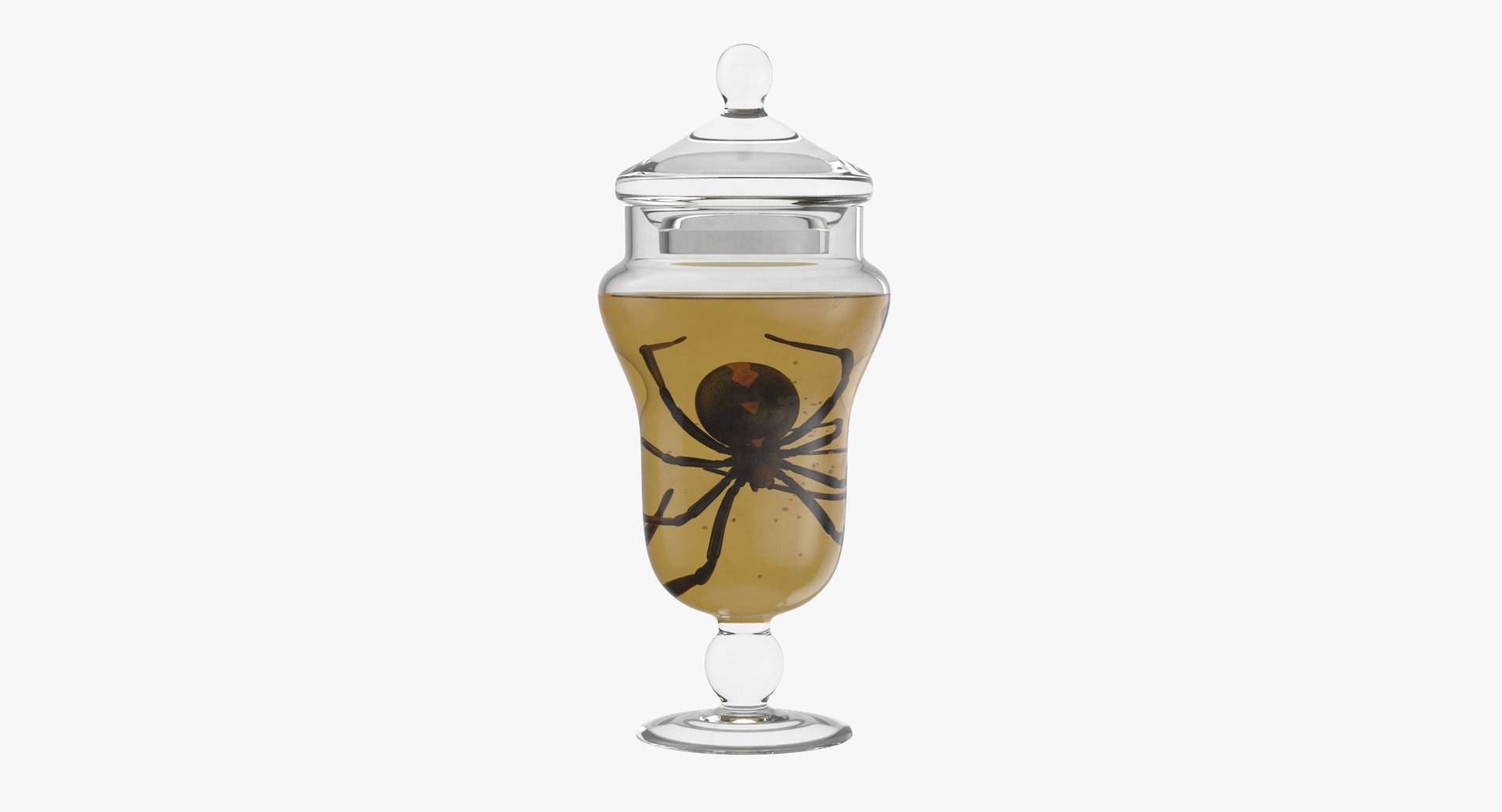 3d vintage jars - organ model https://p.turbosquid.com/ts-thumb/IB/KZ0ewD/1ET4vOGI/vintage_specimen_jar_spider_thumbnail_0000/jpg/1481703356/1920x1080/fit_q87/83415d166bced0fe98b6594842c848ba21be4fa6/vintage_specimen_jar_spider_thumbnail_0000.jpg