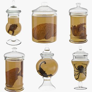 Vintage Jars - Organs and Speciments