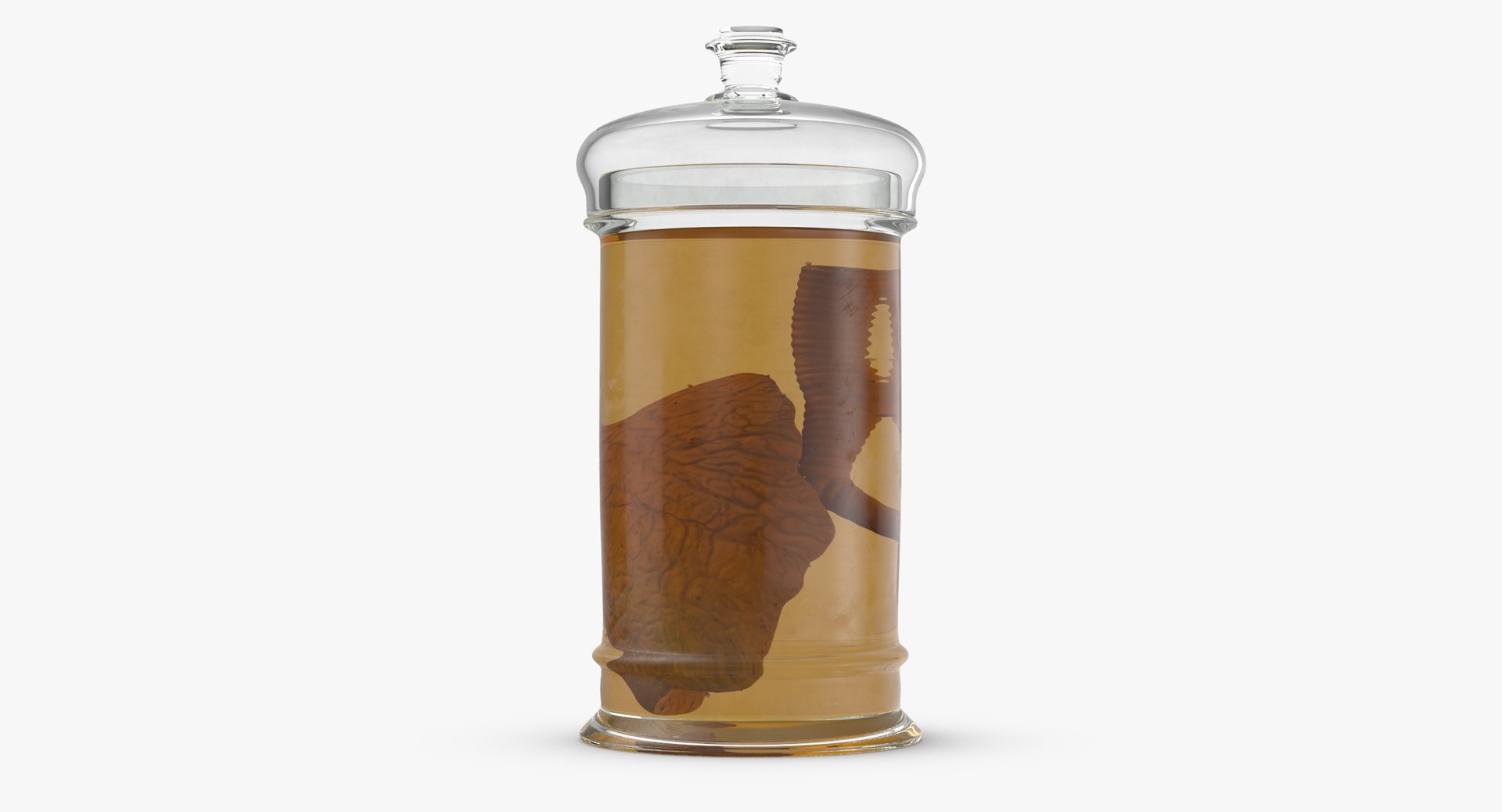 3d vintage jars - organ model https://p.turbosquid.com/ts-thumb/IB/KZ0ewD/5K0XGBYy/vintage_organ_jar_lung_thumbnail_0007/jpg/1481711395/1920x1080/fit_q87/9f5fb49f398ba6ff294e967f2f20a4a6ef3ba52f/vintage_organ_jar_lung_thumbnail_0007.jpg