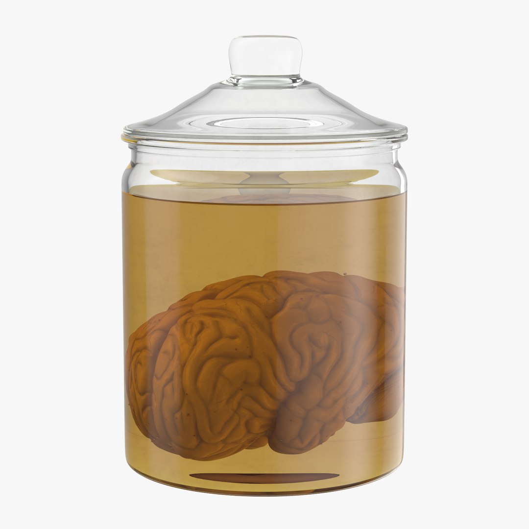 3d vintage jars - organ model https://p.turbosquid.com/ts-thumb/IB/KZ0ewD/8CePiwP0/vintage_jars_with_organs_brain_thumbnail_square0000/jpg/1481710206/1920x1080/fit_q87/54f433438740f0417b9c18525204b5b229c10792/vintage_jars_with_organs_brain_thumbnail_square0000.jpg