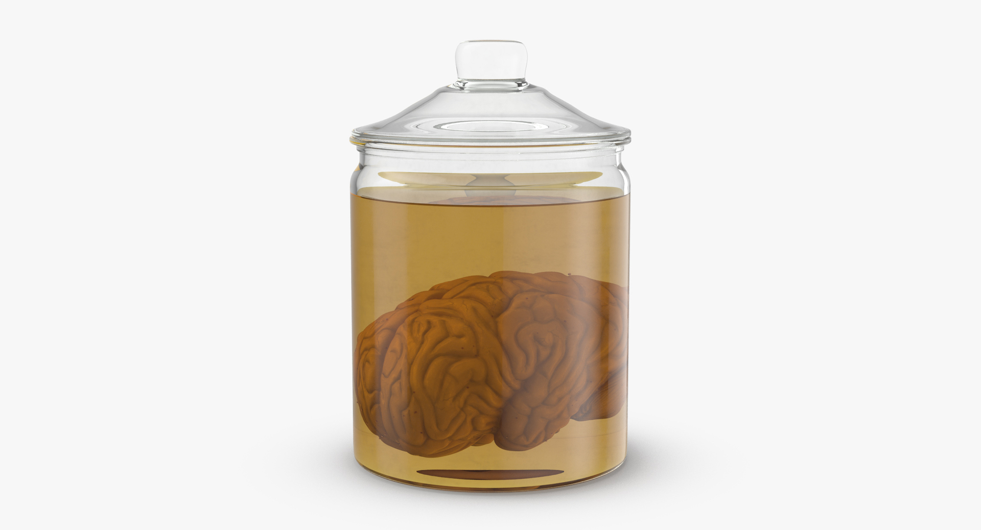 3d vintage jars - organ model https://p.turbosquid.com/ts-thumb/IB/KZ0ewD/8HatUKc3/0000/jpg/1481710442/1920x1080/turn_fit_q99/e071f0eb893d1f56c6e7ba7629885f345b6bd1e3/0000-1.jpg