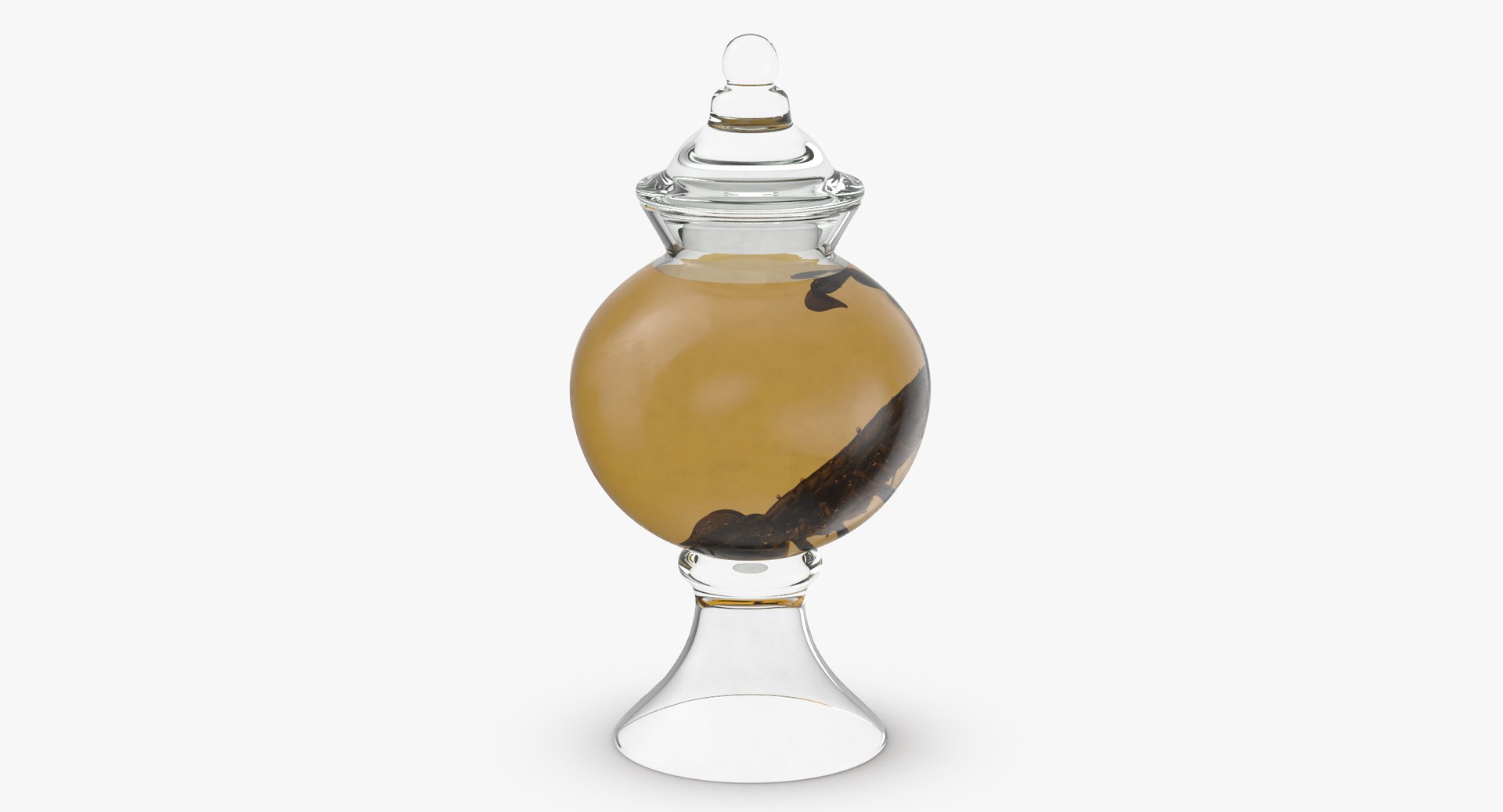 3d vintage jars - organ model https://p.turbosquid.com/ts-thumb/IB/KZ0ewD/8dOBa0yK/vintage_specimen_jar_scorpion_thumbnail_0002/jpg/1481709547/1920x1080/fit_q87/ec3fe0a44346286c8b8de3dd917171daa0abfb9a/vintage_specimen_jar_scorpion_thumbnail_0002.jpg