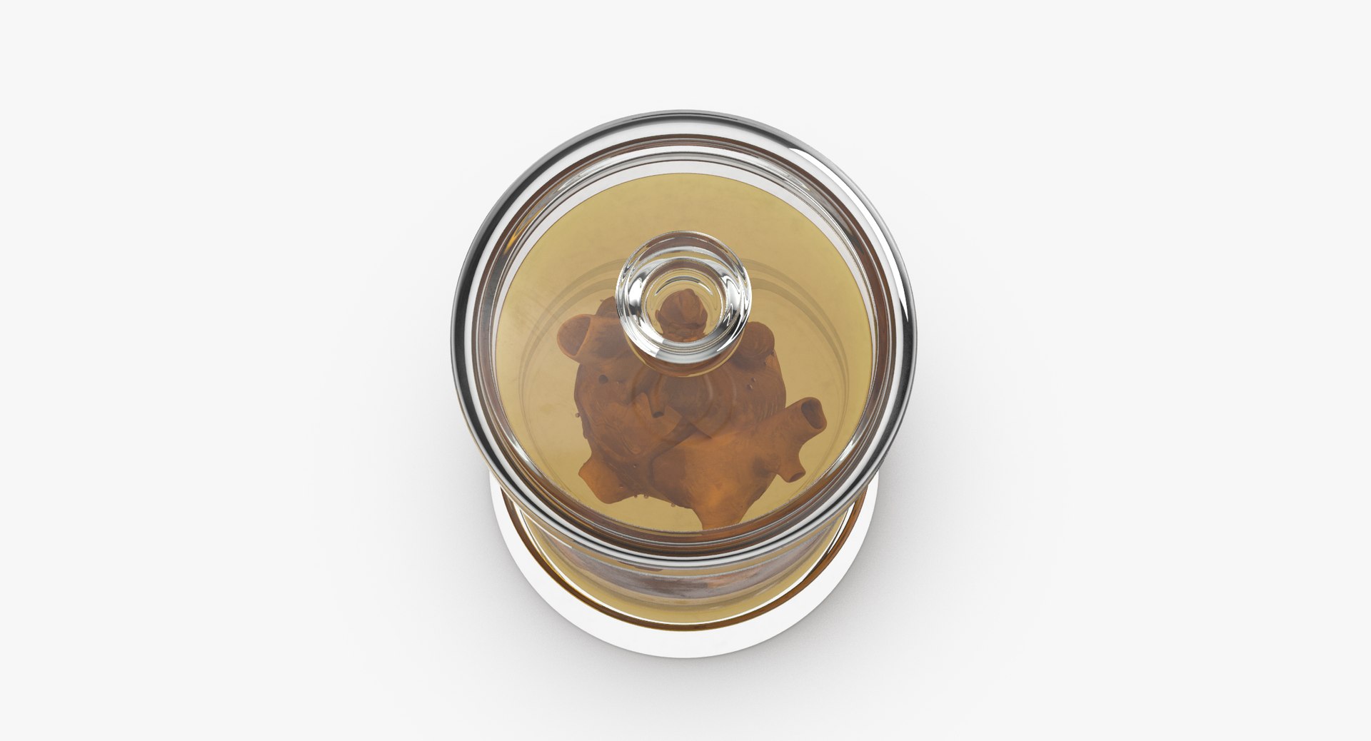 3d vintage jars - organ model https://p.turbosquid.com/ts-thumb/IB/KZ0ewD/DFBWqNOv/vintage_organ_jar_heart_thumbnail_0005/jpg/1481710574/1920x1080/fit_q87/93aeb7a284e646397515d8a40d8c3bbb31227b20/vintage_organ_jar_heart_thumbnail_0005.jpg