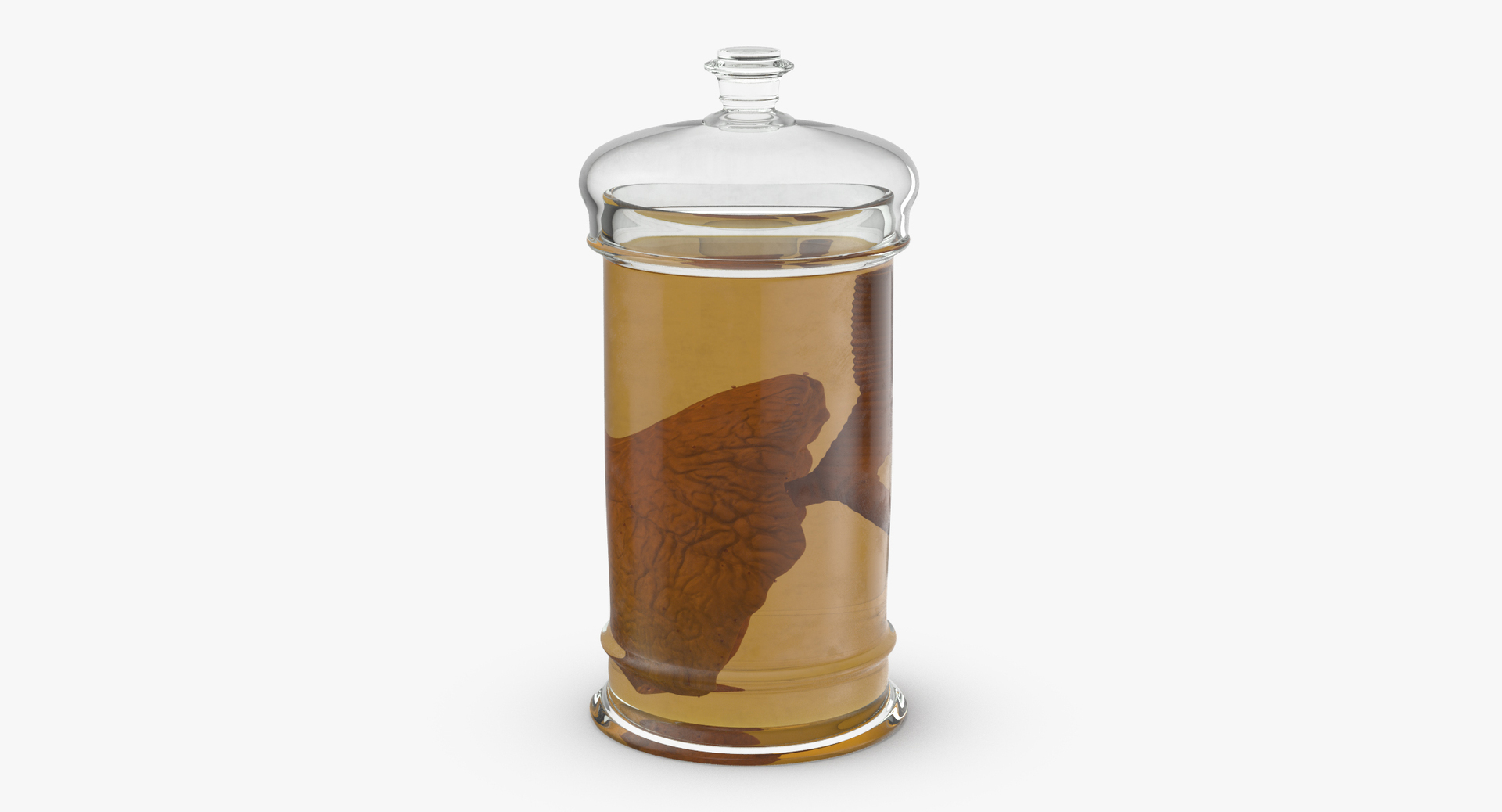 3d vintage jars - organ model https://p.turbosquid.com/ts-thumb/IB/KZ0ewD/E9JIvYuM/0000/jpg/1481719173/1920x1080/turn_fit_q99/1abc1bf06cfe4e38e798e950fda2aeccaafbaaa9/0000-1.jpg