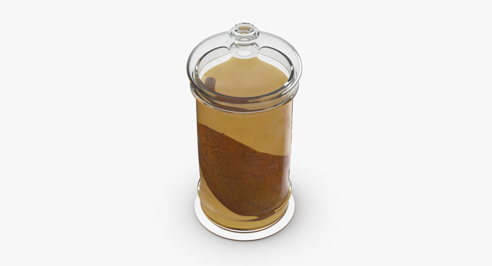 3d vintage jars - organ model https://p.turbosquid.com/ts-thumb/IB/KZ0ewD/HSIIpkjT/vintage_organ_jar_lung_thumbnail_0004/jpg/1481711394/1920x1080/fit_q87/ec9cc1e286d0a21d76573d00cb600a488c9be1df/vintage_organ_jar_lung_thumbnail_0004.jpg