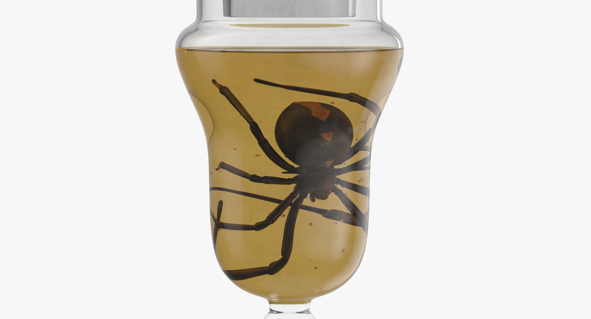 3d vintage jars - organ model https://p.turbosquid.com/ts-thumb/IB/KZ0ewD/IYJckQmm/vintage_specimen_jar_spider_thumbnail_0005/jpg/1481703356/1920x1080/fit_q87/25316c08579bed00256842d72c58279be23b9cf9/vintage_specimen_jar_spider_thumbnail_0005.jpg