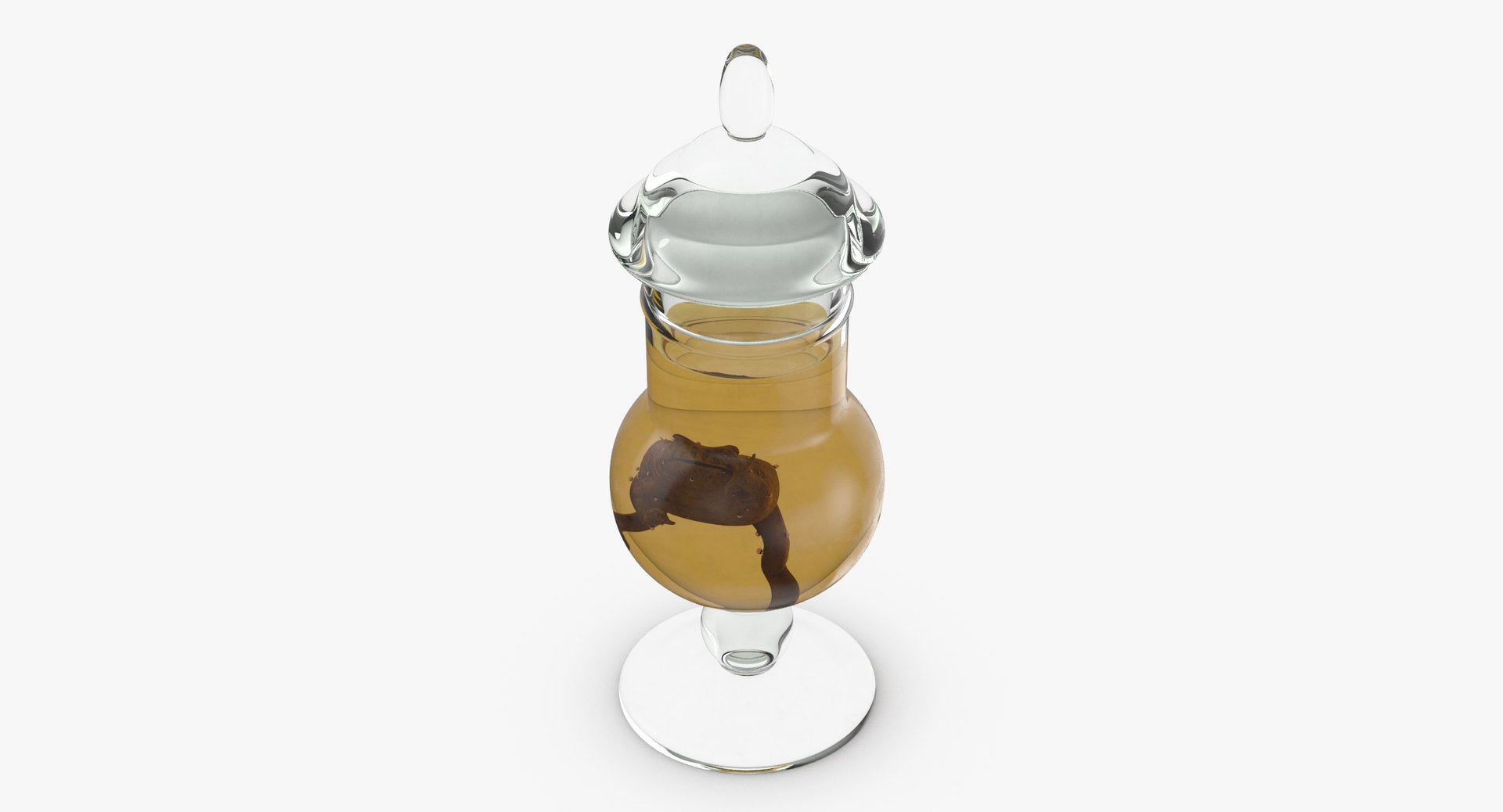 3d vintage jars - organ model https://p.turbosquid.com/ts-thumb/IB/KZ0ewD/LV1IBOI1/vintage_specimen_jar_frog_thumbnail_0004/jpg/1481708293/1920x1080/fit_q87/8ca630328787178233fd6f6f9499777e9895e64d/vintage_specimen_jar_frog_thumbnail_0004.jpg