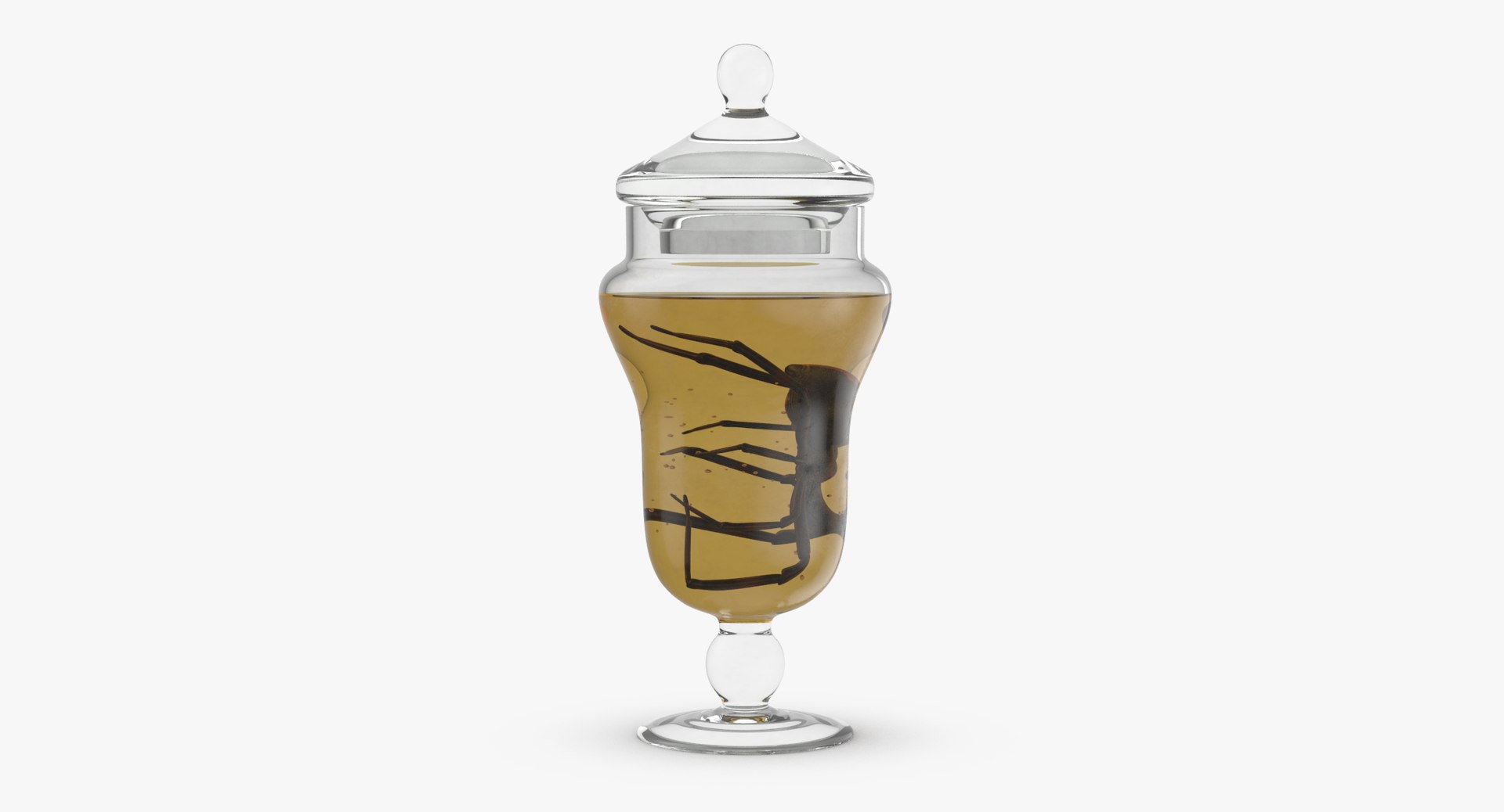 3d vintage jars - organ model https://p.turbosquid.com/ts-thumb/IB/KZ0ewD/Mgw2zZVO/vintage_specimen_jar_spider_thumbnail_0004/jpg/1481703356/1920x1080/fit_q87/2611b5fa44c41f8e8218e9b575fe79d94976e3f4/vintage_specimen_jar_spider_thumbnail_0004.jpg