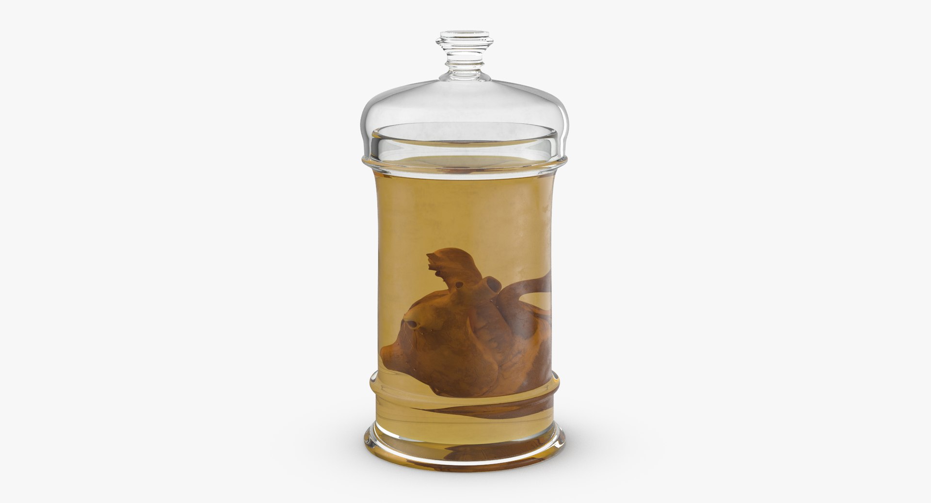 3d vintage jars - organ model https://p.turbosquid.com/ts-thumb/IB/KZ0ewD/PW9m7Xmk/vintage_organ_jar_heart_thumbnail_0002/jpg/1481710574/1920x1080/fit_q87/a582cc971bbedf39231133babced780c1daee97c/vintage_organ_jar_heart_thumbnail_0002.jpg
