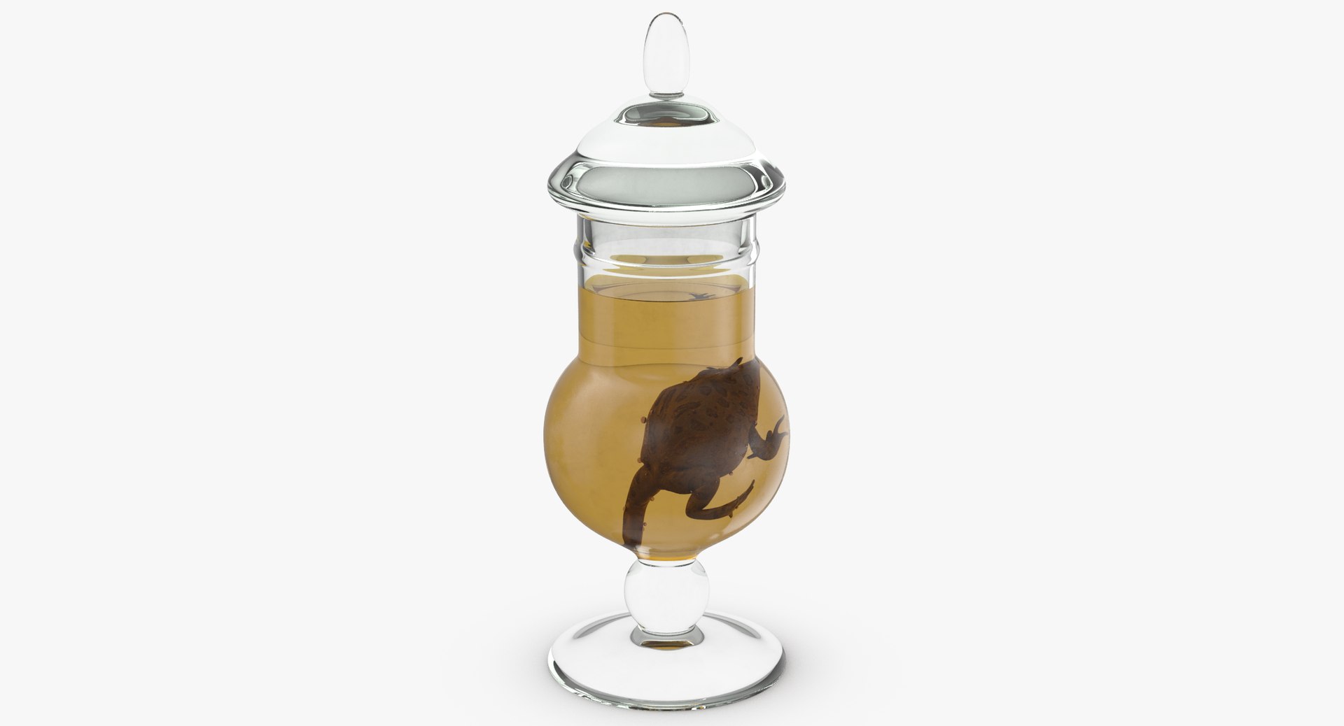 3d vintage jars - organ model https://p.turbosquid.com/ts-thumb/IB/KZ0ewD/SLVgZHUM/vintage_specimen_jar_frog_thumbnail_0002/jpg/1481708293/1920x1080/fit_q87/a1f11cc9e3f28dd9f2db42d57f7d92d4ad5c39e4/vintage_specimen_jar_frog_thumbnail_0002.jpg