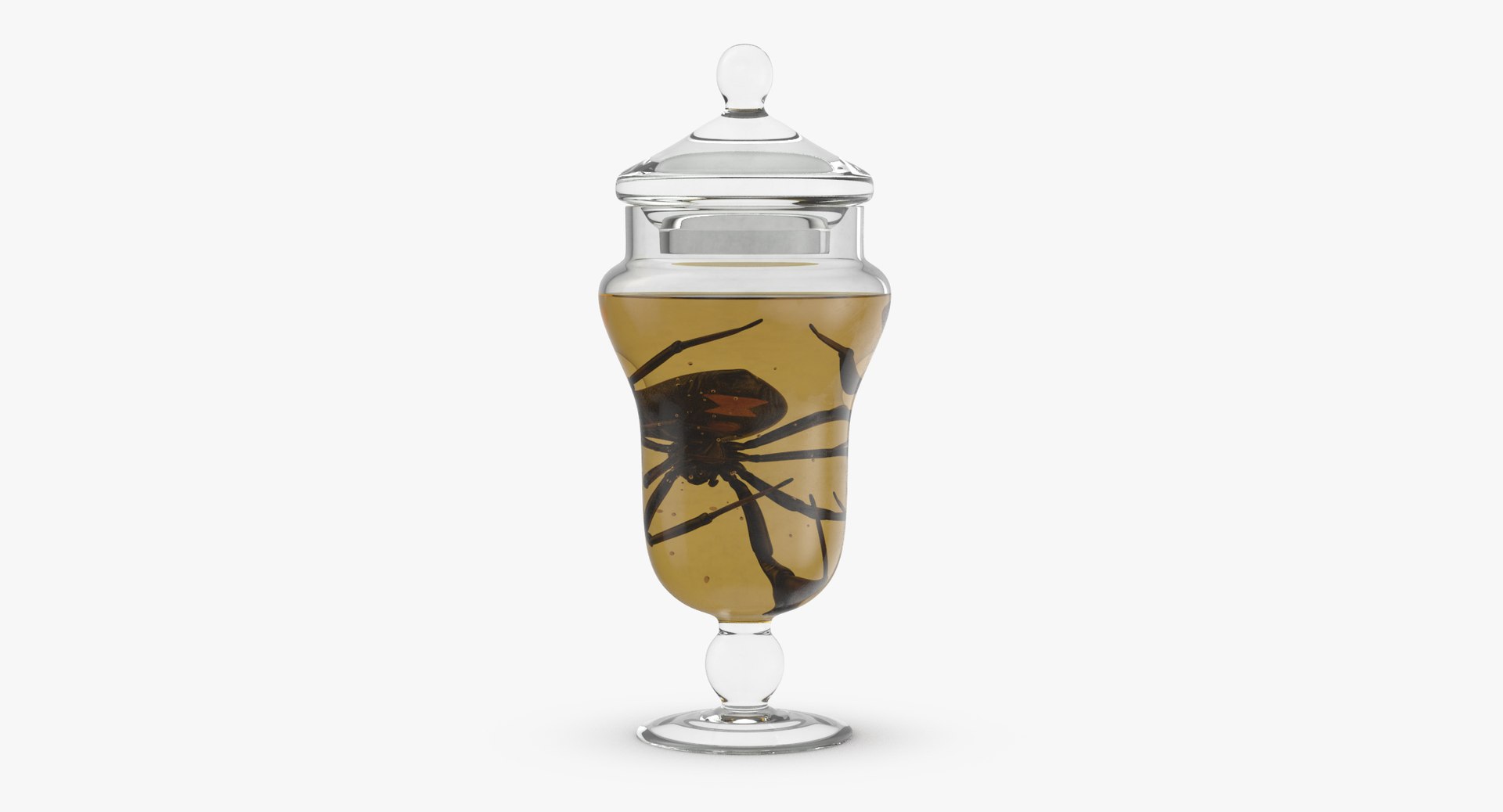 3d vintage jars - organ model https://p.turbosquid.com/ts-thumb/IB/KZ0ewD/XGpLQt9q/vintage_specimen_jar_spider_thumbnail_0003/jpg/1481703356/1920x1080/fit_q87/dc18d6bcb66adac58eae6ba9c4696ca0fcfd298c/vintage_specimen_jar_spider_thumbnail_0003.jpg
