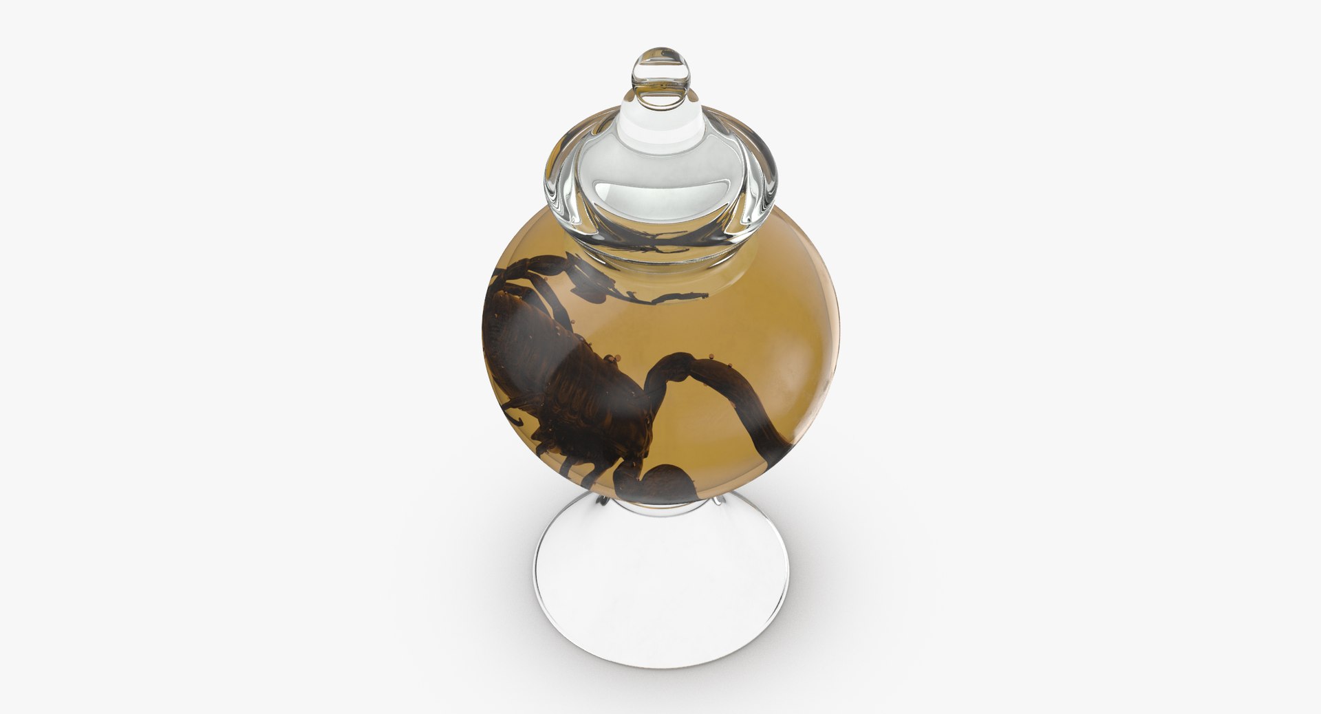 3d vintage jars - organ model https://p.turbosquid.com/ts-thumb/IB/KZ0ewD/XYPkrkaJ/vintage_specimen_jar_scorpion_thumbnail_0005/jpg/1481709547/1920x1080/fit_q87/c0671ee2dceb1f4f1018f578c04a0f765b18d630/vintage_specimen_jar_scorpion_thumbnail_0005.jpg