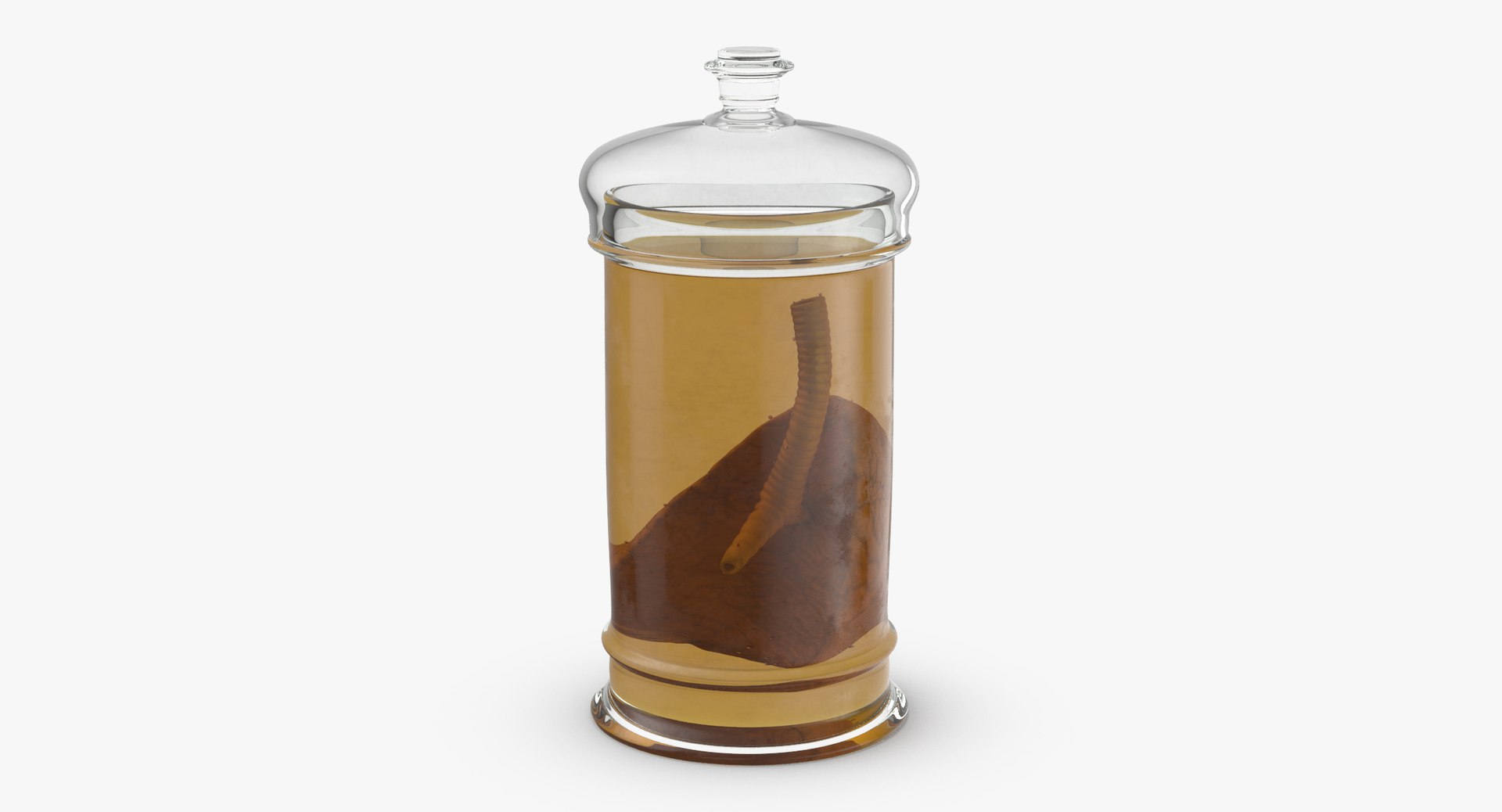 3d vintage jars - organ model https://p.turbosquid.com/ts-thumb/IB/KZ0ewD/ZI7qxyuD/vintage_organ_jar_lung_thumbnail_0002/jpg/1481711394/1920x1080/fit_q87/6fe9a09d80f188329cf8a1013dfc5ea450380e51/vintage_organ_jar_lung_thumbnail_0002.jpg