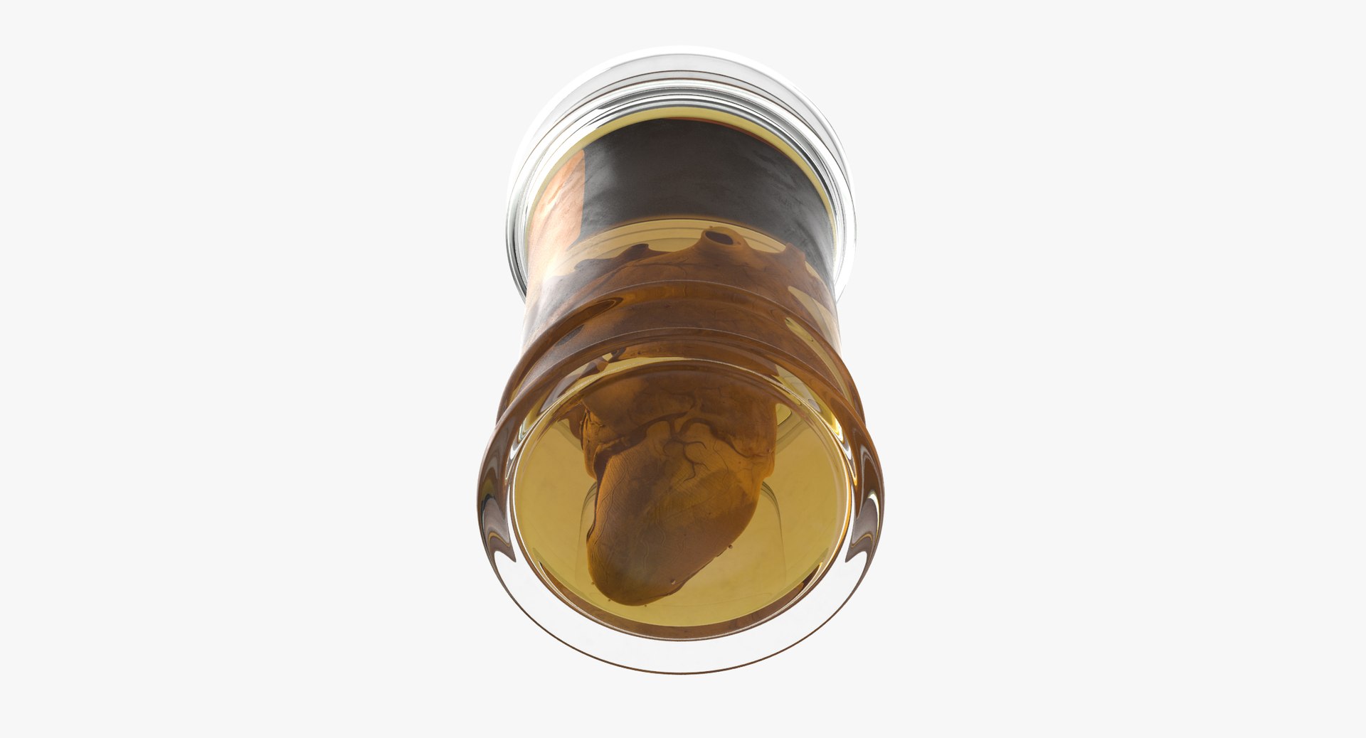 3d vintage jars - organ model https://p.turbosquid.com/ts-thumb/IB/KZ0ewD/bBRv6wgz/vintage_organ_jar_heart_thumbnail_0006/jpg/1481710574/1920x1080/fit_q87/25b167272b2096d8acfddaae401f8f6c2af6d660/vintage_organ_jar_heart_thumbnail_0006.jpg