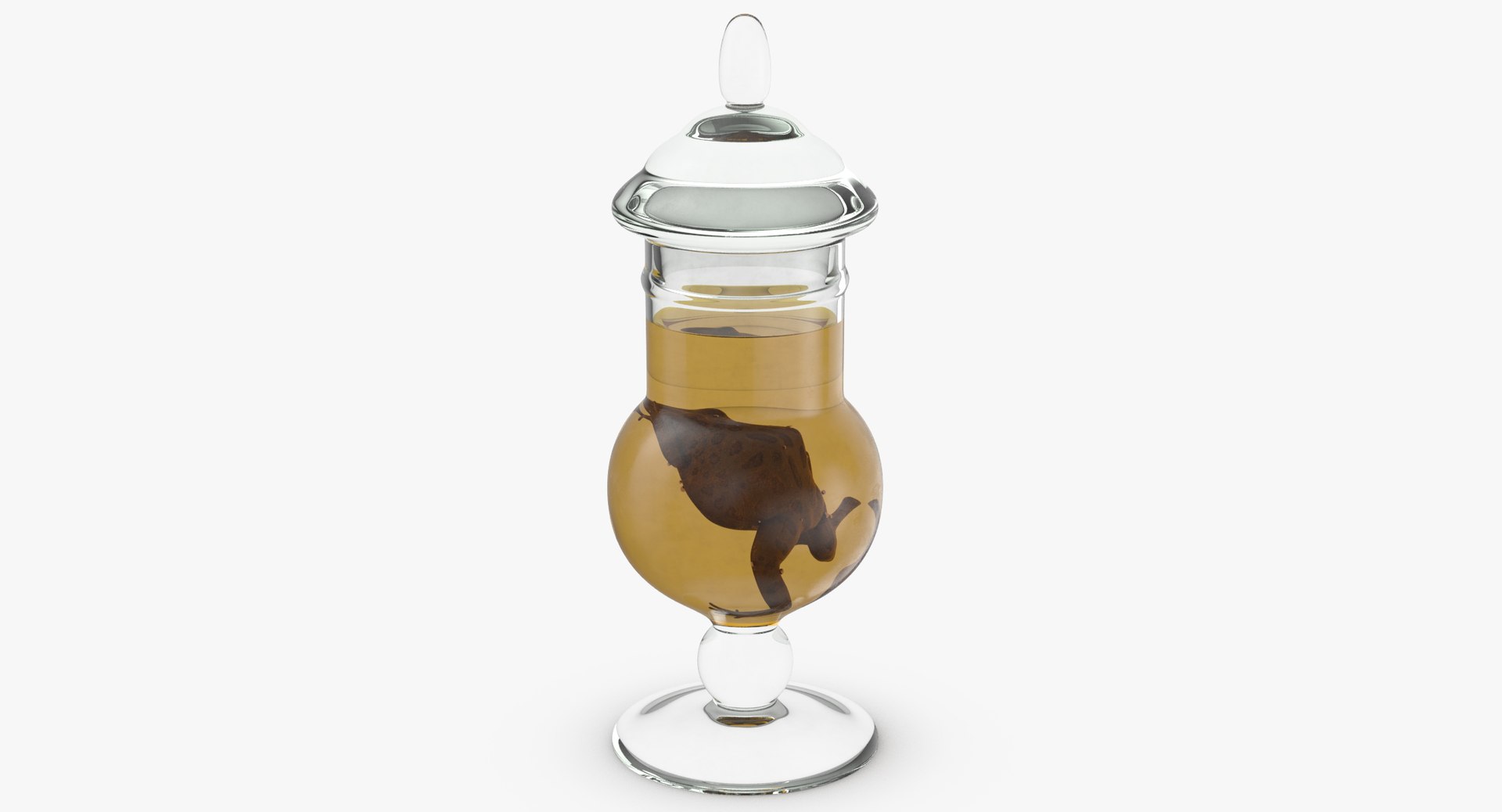 3d vintage jars - organ model https://p.turbosquid.com/ts-thumb/IB/KZ0ewD/hzasV453/vintage_specimen_jar_frog_thumbnail_0003/jpg/1481708293/1920x1080/fit_q87/7cf7b43405dc372c67358564a5dae88feca3fb95/vintage_specimen_jar_frog_thumbnail_0003.jpg