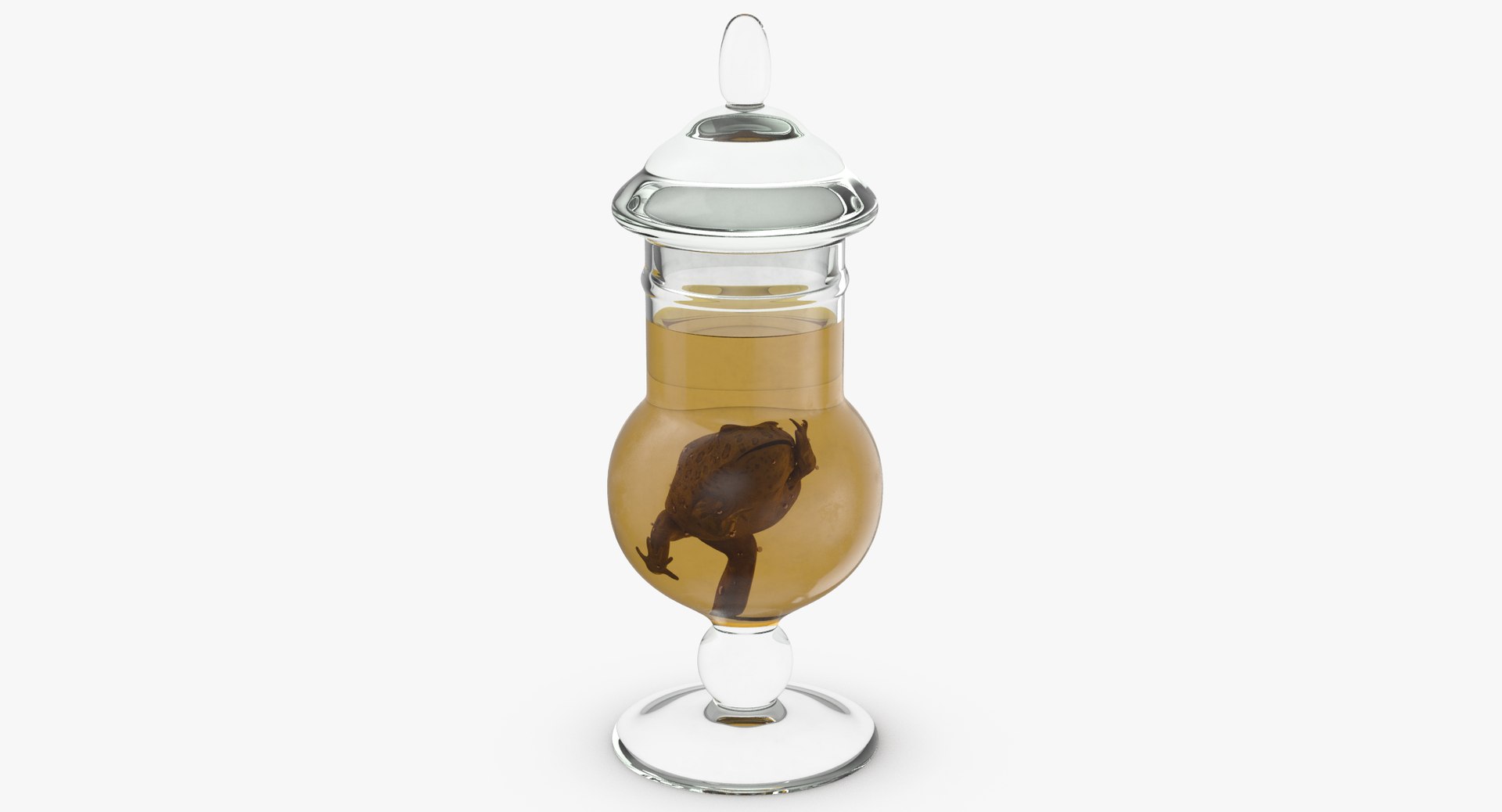 3d vintage jars - organ model https://p.turbosquid.com/ts-thumb/IB/KZ0ewD/iOk5B2HA/vintage_specimen_jar_frog_thumbnail_0001/jpg/1481708293/1920x1080/fit_q87/34eca4e5f23d1f1a3df5f12c1ac7896b12f67d4d/vintage_specimen_jar_frog_thumbnail_0001.jpg